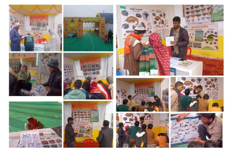 Nature education and public engagement stall