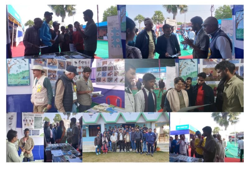 Public engagement stall
